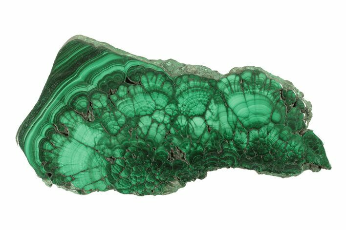 Polished Malachite Slab - DR Congo #264830